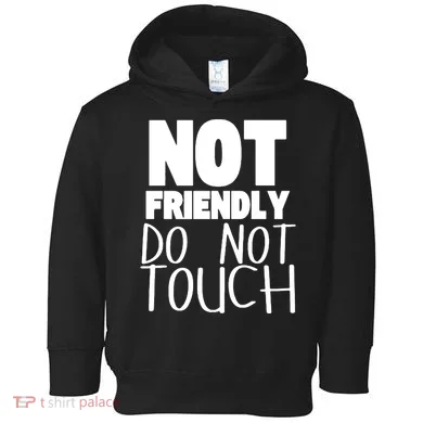 Not Friendly Do Not Touch Toddler Hoodie