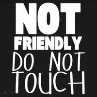 Not Friendly Do Not Touch Women's T-Shirt thumb 6