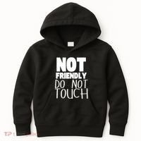 Not Friendly Do Not Touch Kids Hoodie thumb 0