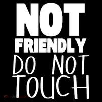 Not Friendly Do Not Touch Kids Long Sleeve Shirt thumb 2