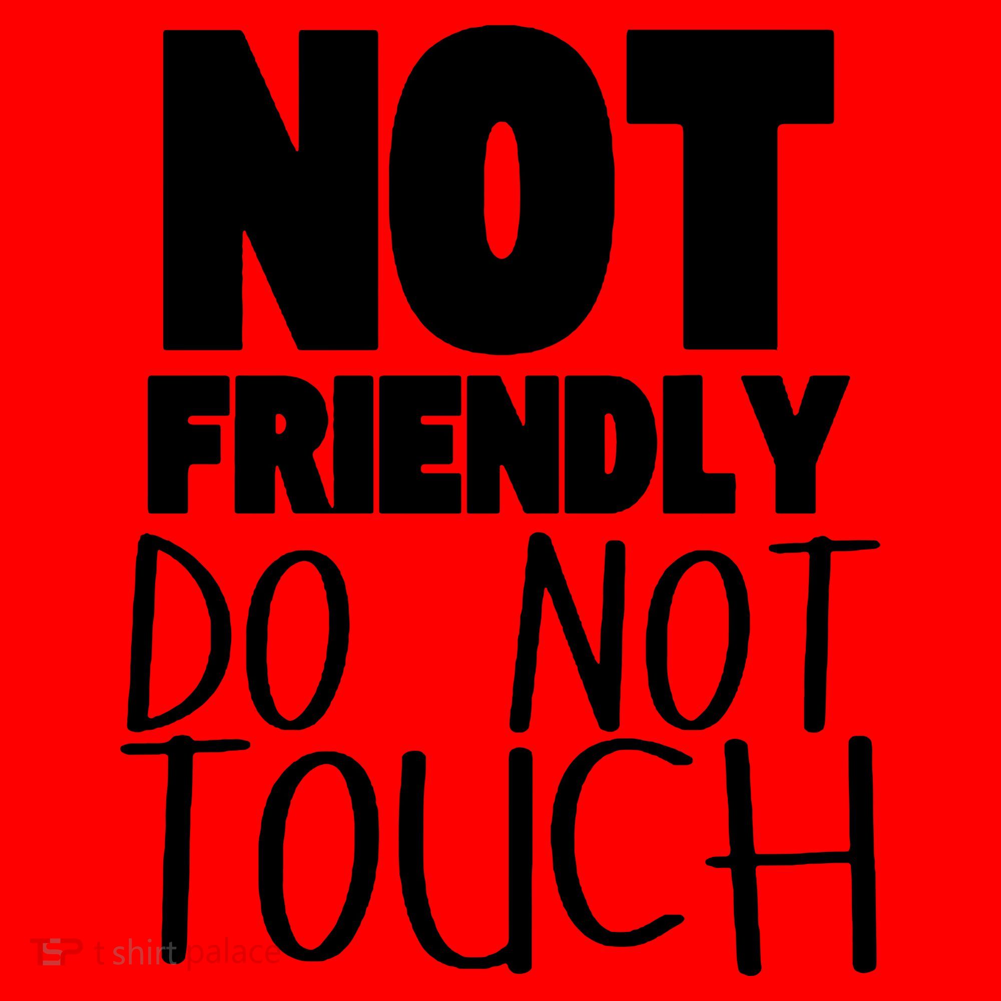 Not Friendly Do Not Touch Santa Hat