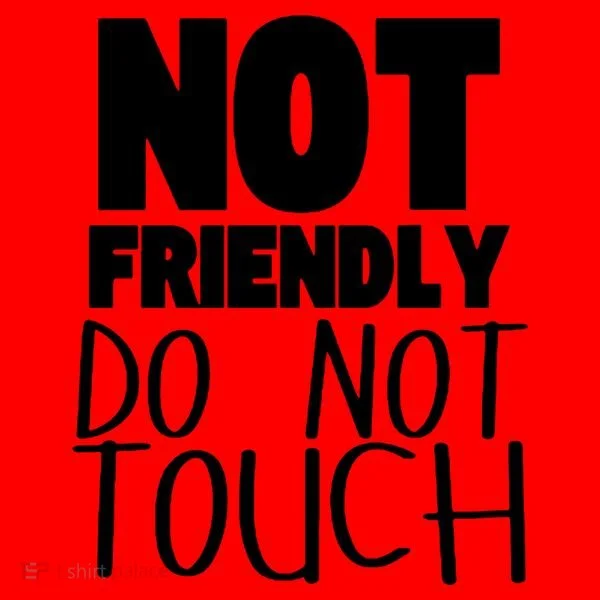 Not Friendly Do Not Touch Santa Hat