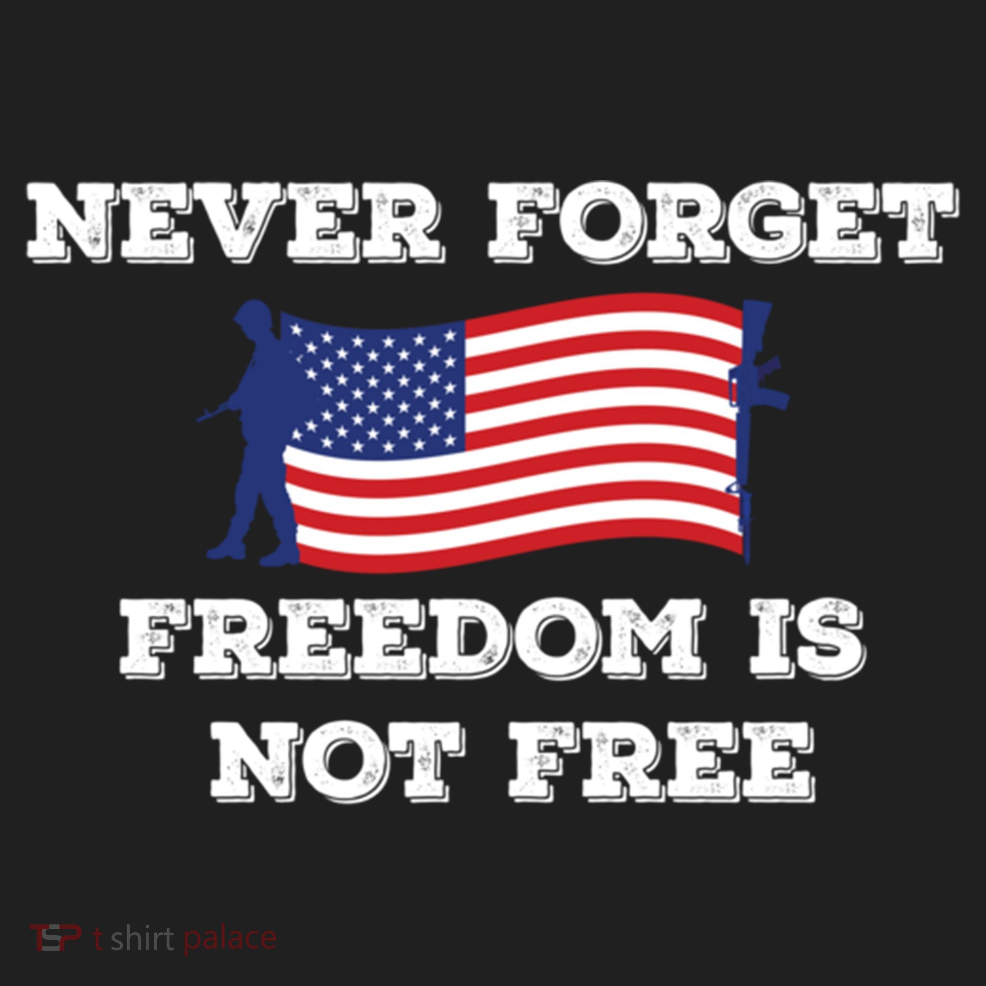 Never Forget Freedom Is Not Free Army Veterans Gift Beanie