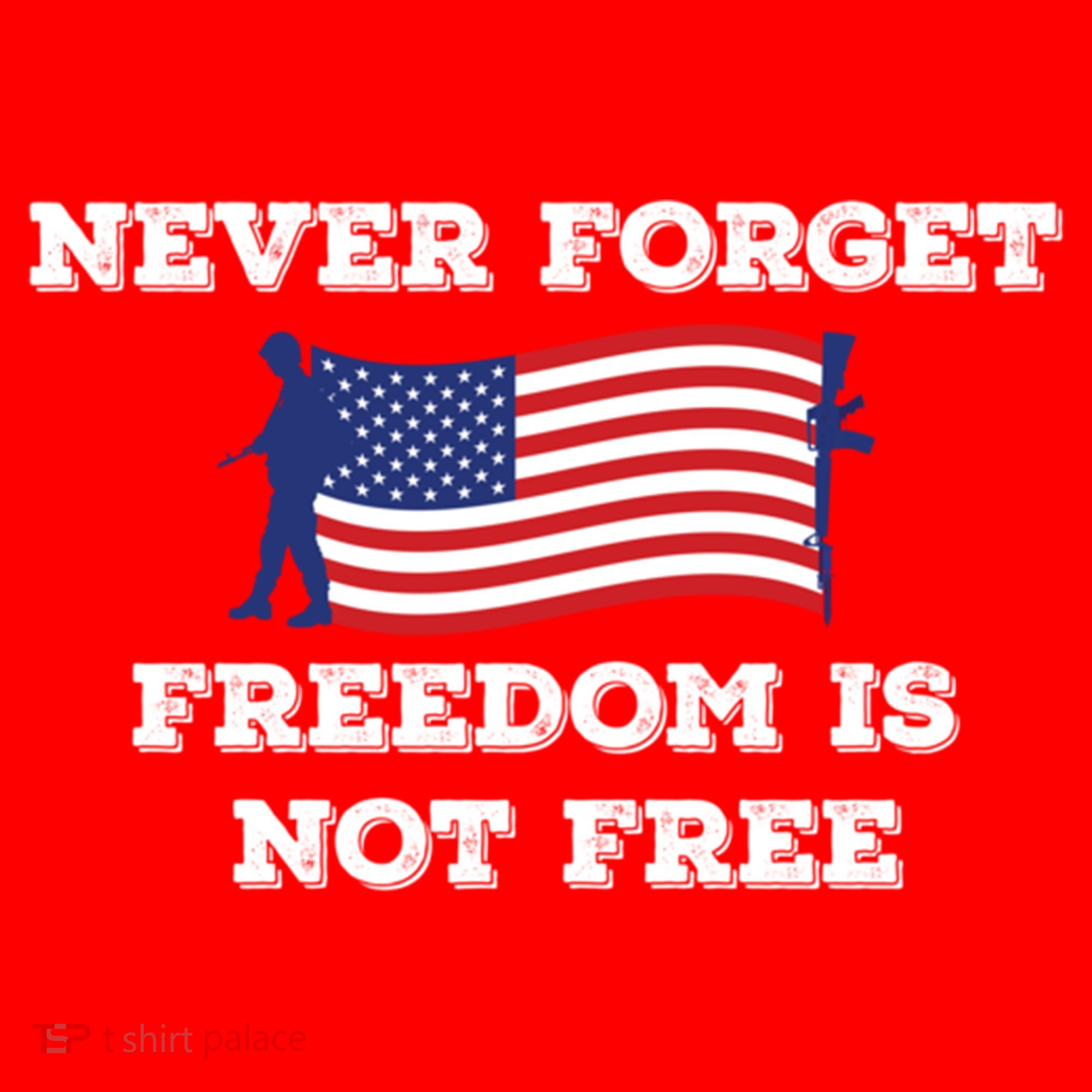 Never Forget Freedom Is Not Free Army Veterans Gift Santa Hat