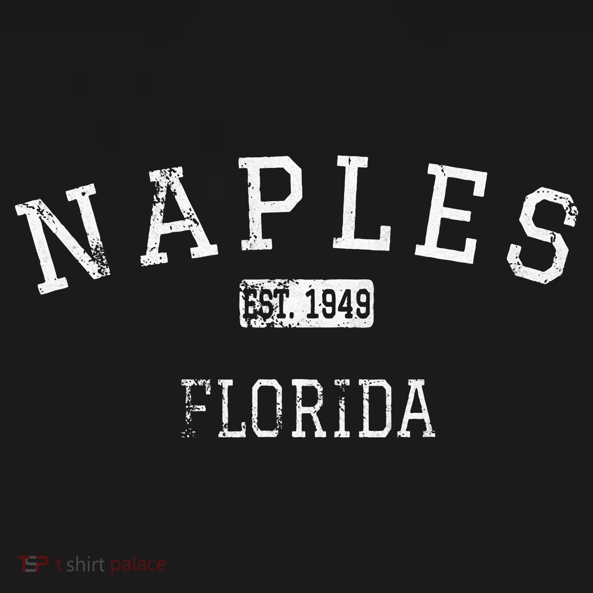 Naples Florida FL Vintage T-Shirt
