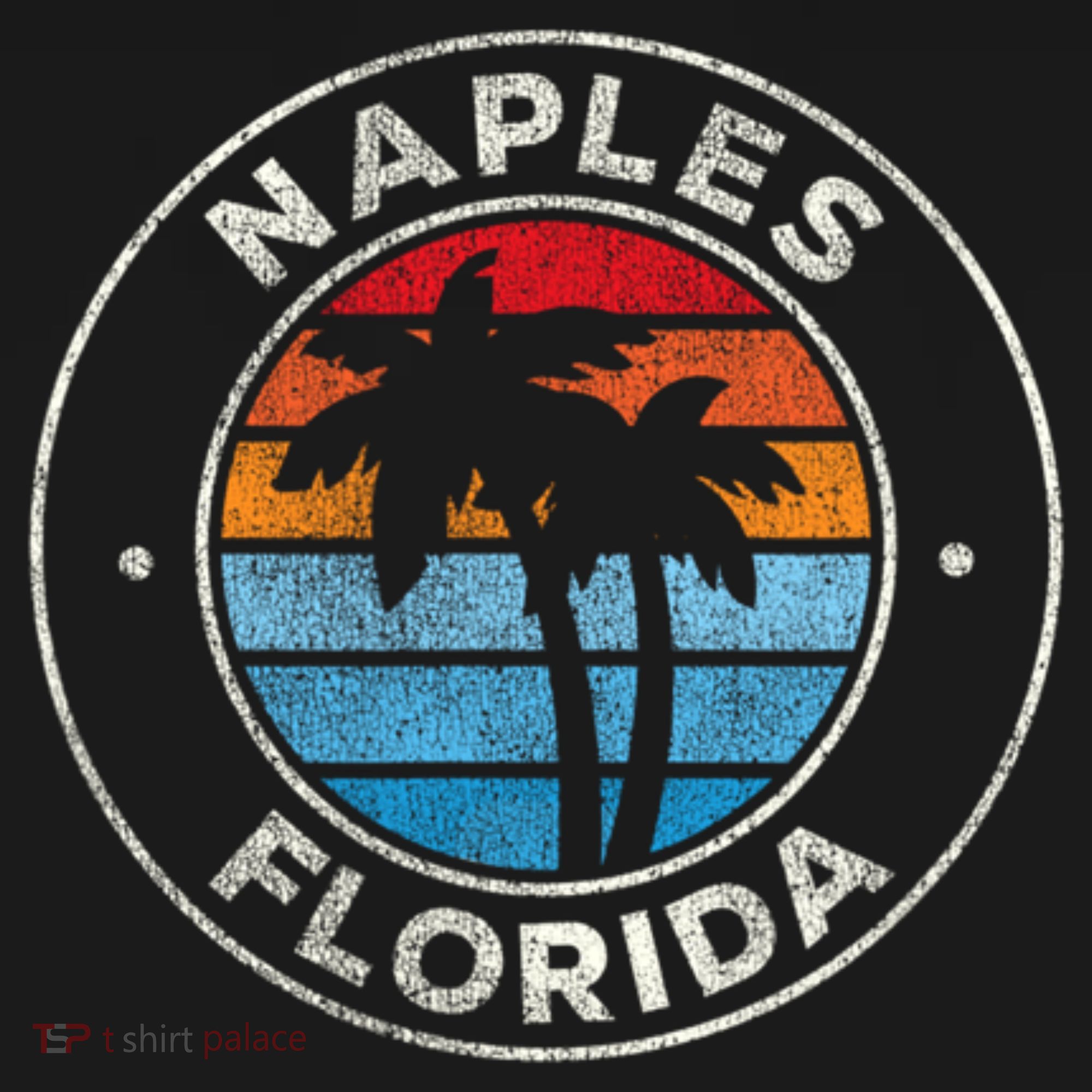 Naples Florida FL Vintage Graphic Retro 70s T-Shirt