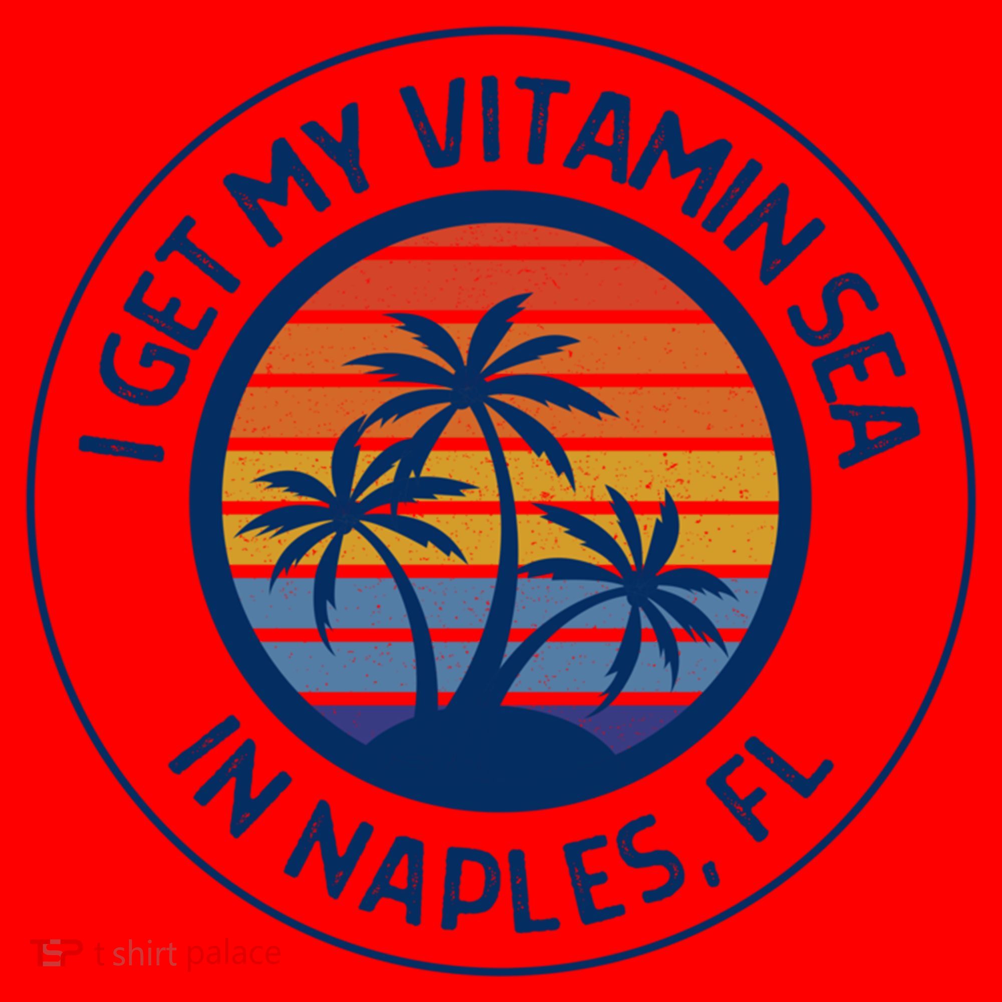 Naples Florida Fun Naples Vacation Naples Beach Naples Fl Gift Santa Hat