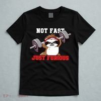Not Fast Just Furious Weightlifting Sloth Funny Fitness T-Shirt thumb 5