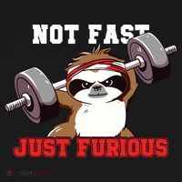 Not Fast Just Furious Weightlifting Sloth Funny Fitness T-Shirt thumb 7