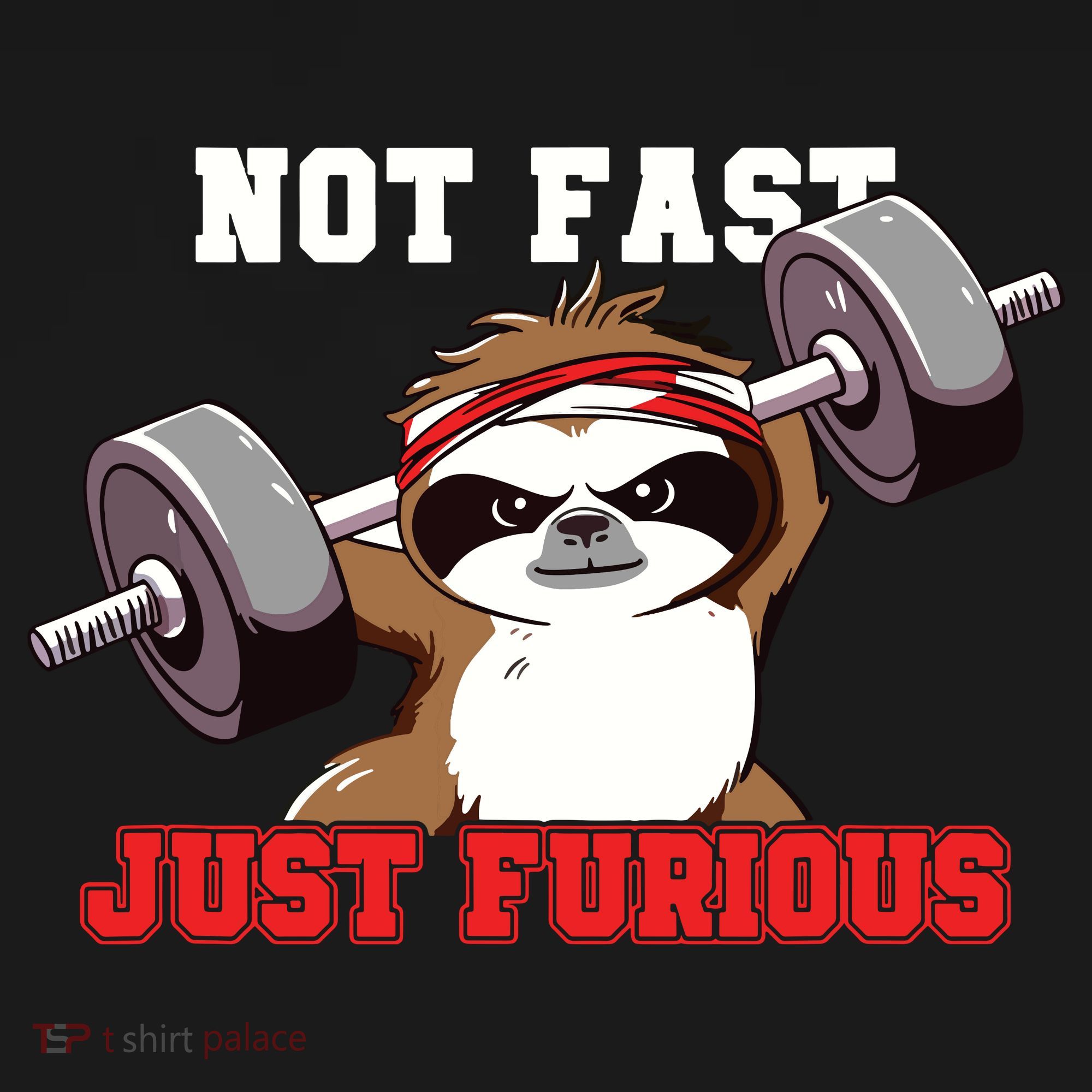 Not Fast Just Furious Weightlifting Sloth Funny Fitness Women's Hoodie