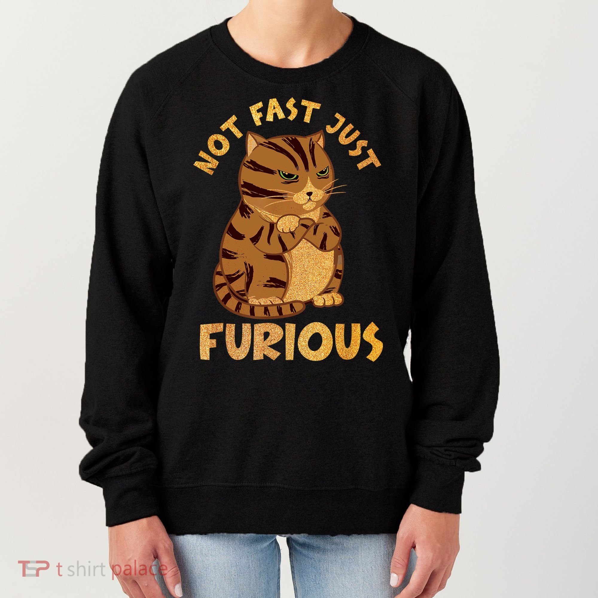 Not Fast Just Furious Funny Cute Grumpy Fat Cat Pet Lovers Women's Sweatshirt