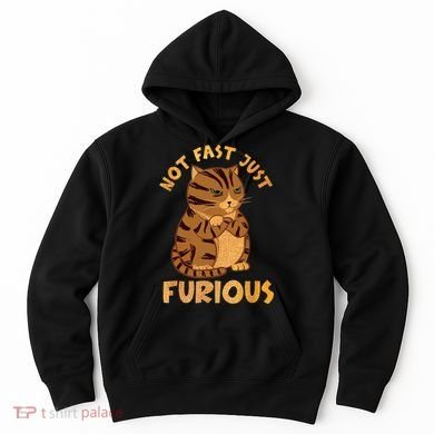 Not Fast Just Furious Funny Cute Grumpy Fat Cat Pet Lovers Hoodie
