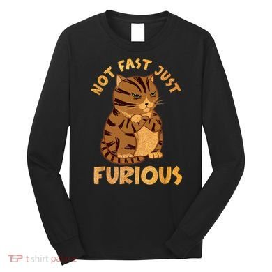 Not Fast Just Furious Funny Cute Grumpy Fat Cat Pet Lovers Long Sleeve Shirt