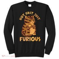 Not Fast Just Furious Funny Cute Grumpy Fat Cat Pet Lovers Sweatshirt thumb 0