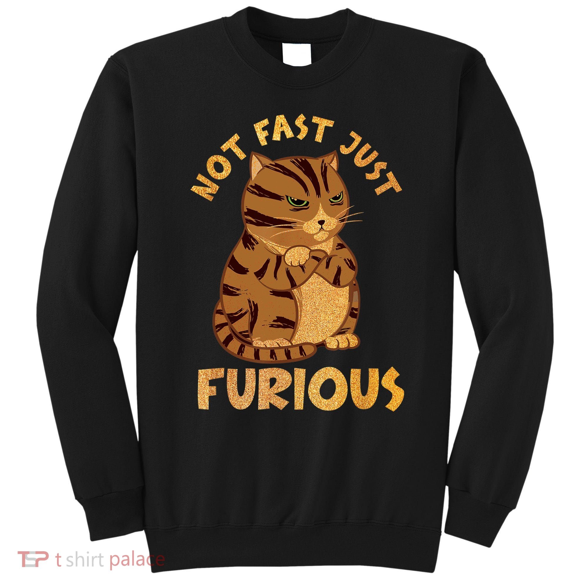 Not Fast Just Furious Funny Cute Grumpy Fat Cat Pet Lovers Sweatshirt