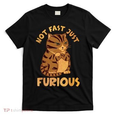 Not Fast Just Furious Funny Cute Grumpy Fat Cat Pet Lovers T-Shirt