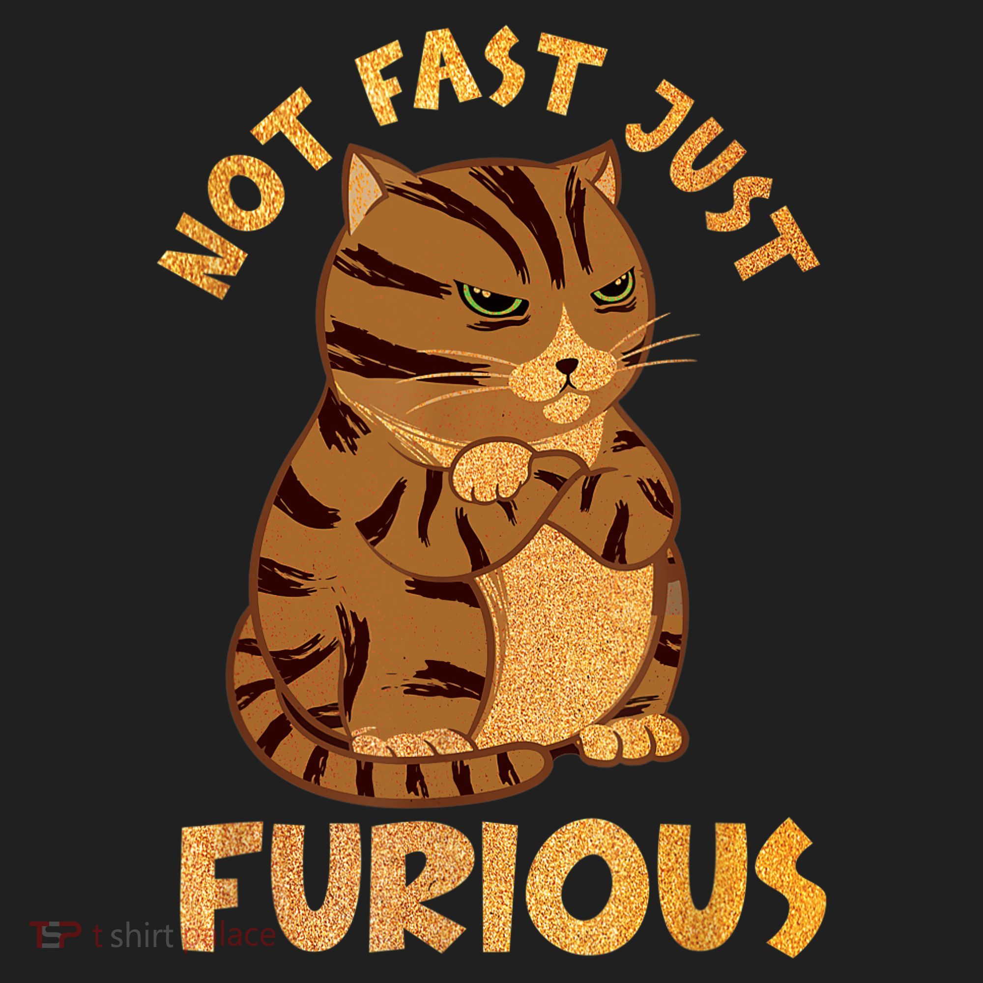 Not Fast Just Furious Funny Cute Grumpy Fat Cat Pet Lovers Beanie