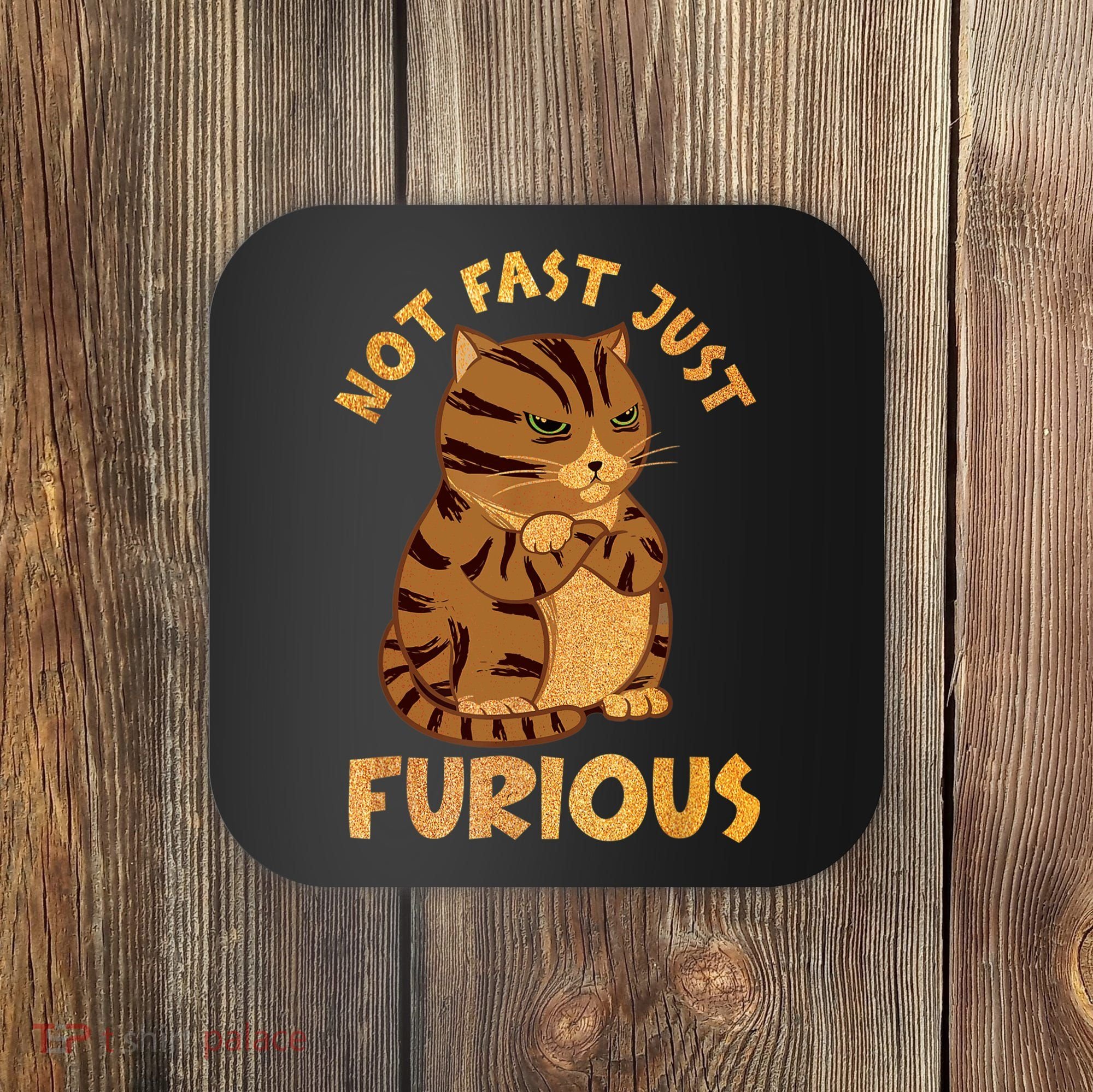 Not Fast Just Furious Funny Cute Grumpy Fat Cat Pet Lovers Coaster