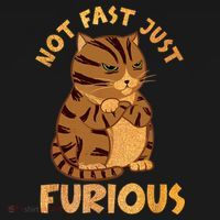 Not Fast Just Furious Funny Cute Grumpy Fat Cat Pet Lovers Women's Hoodie thumb 2