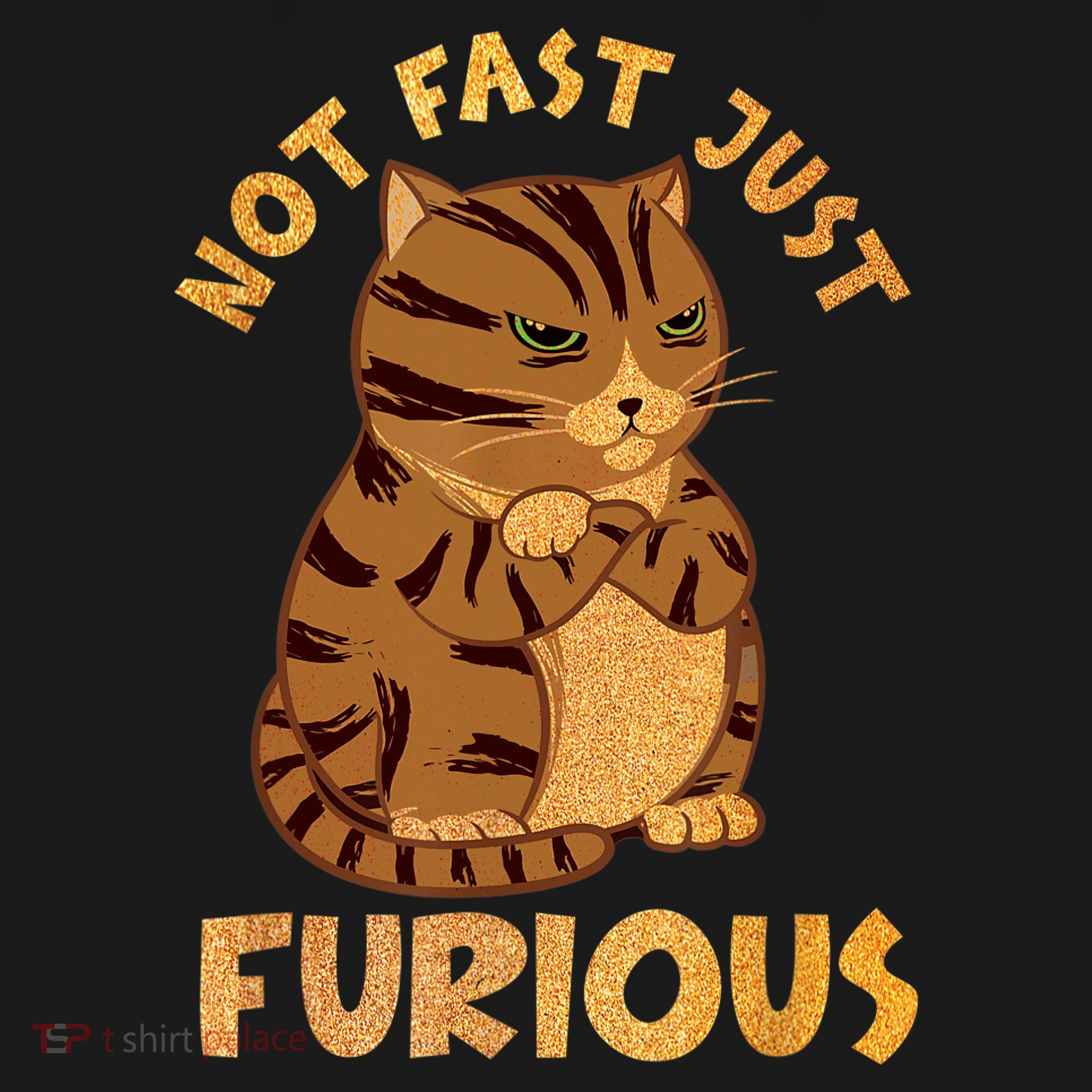 Not Fast Just Furious Funny Cute Grumpy Fat Cat Pet Lovers Women's Tank Top