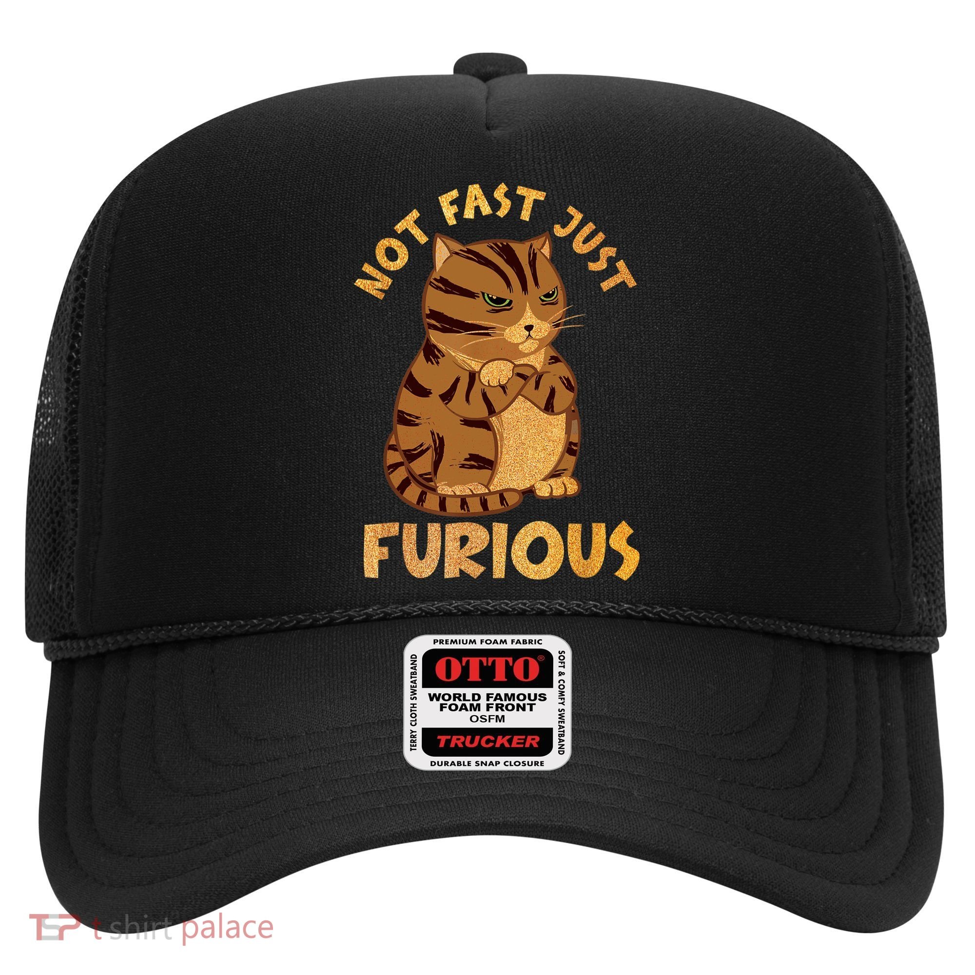 Not Fast Just Furious Funny Cute Grumpy Fat Cat Pet Lovers Hat
