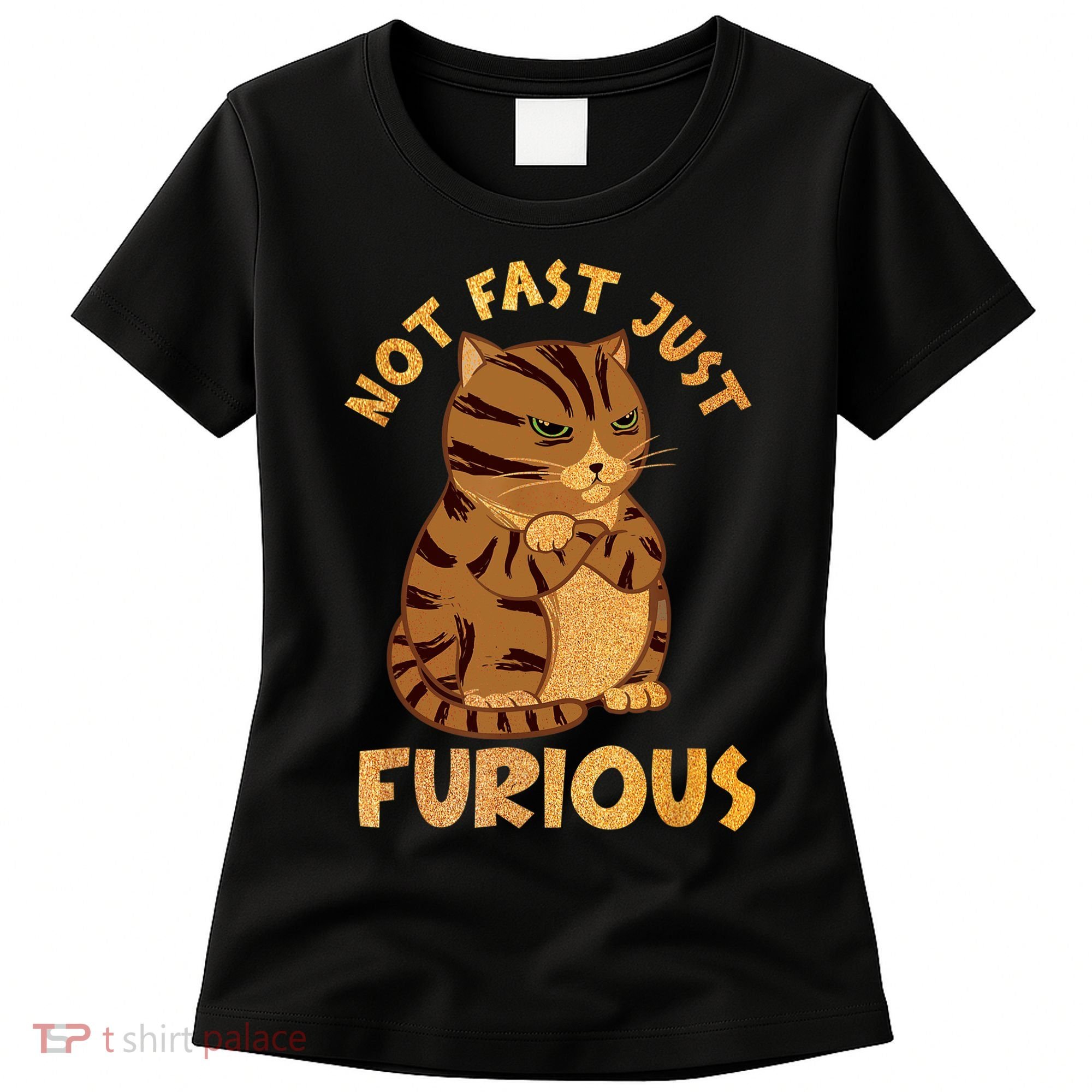 Not Fast Just Furious Funny Cute Grumpy Fat Cat Pet Lovers Women's T-Shirt