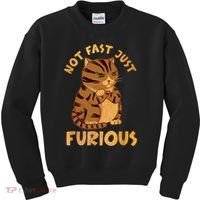 Not Fast Just Furious Funny Cute Grumpy Fat Cat Pet Lovers Kids Sweatshirt thumb 0