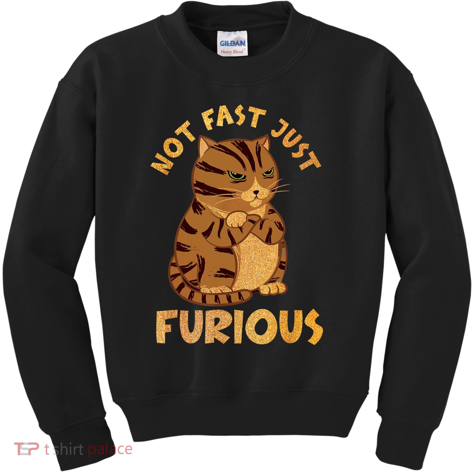 Not Fast Just Furious Funny Cute Grumpy Fat Cat Pet Lovers Kids Sweatshirt
