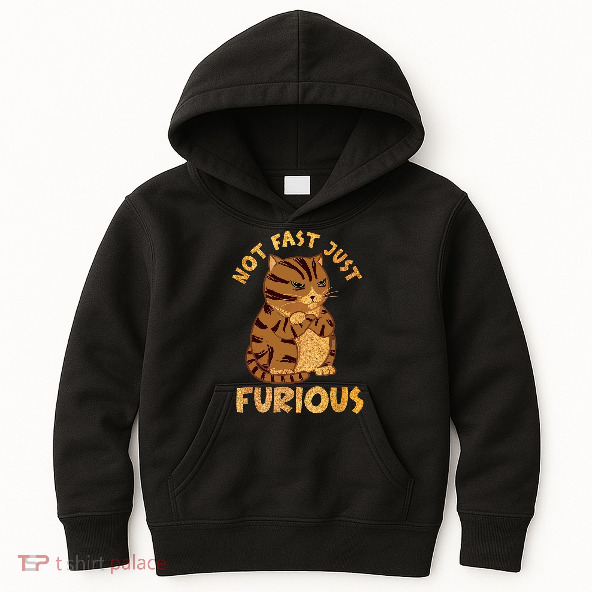 Not Fast Just Furious Funny Cute Grumpy Fat Cat Pet Lovers Kids Hoodie