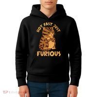 Not Fast Just Furious Funny Cute Grumpy Fat Cat Pet Lovers Kids Hoodie thumb 4