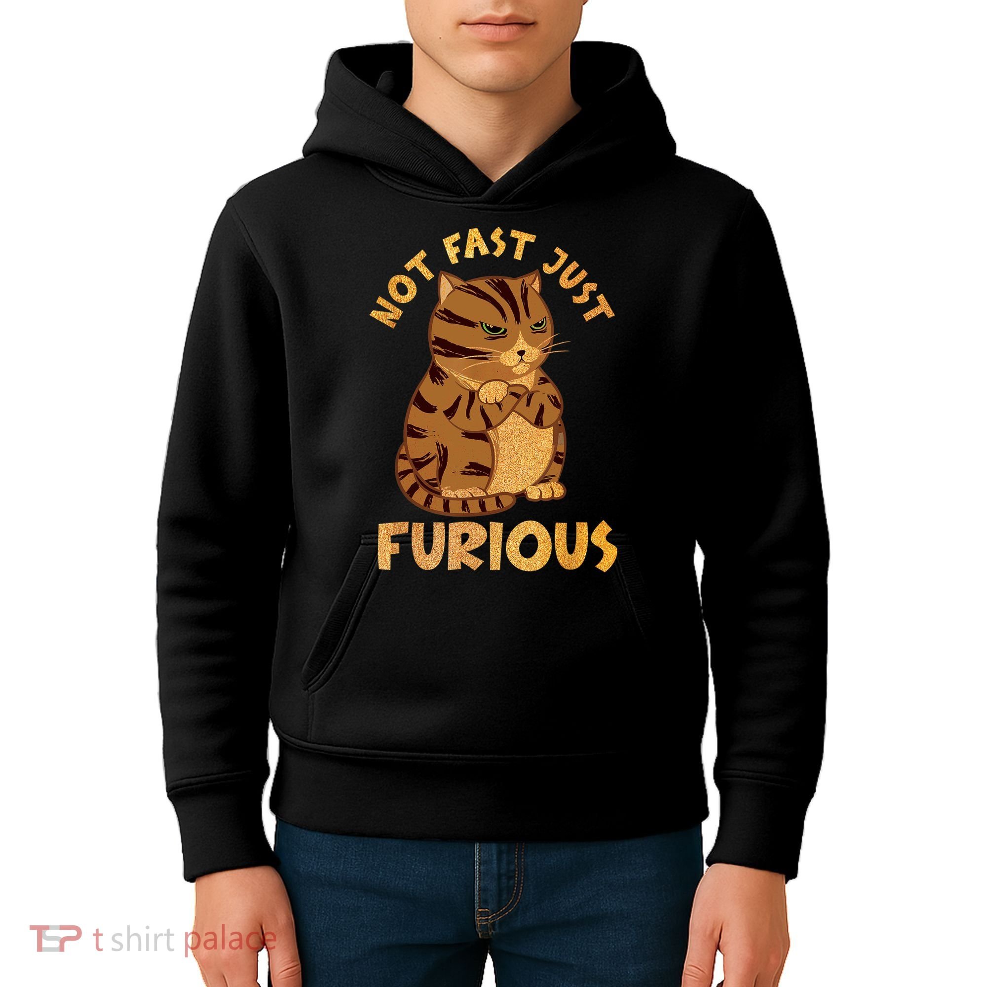 Not Fast Just Furious Funny Cute Grumpy Fat Cat Pet Lovers Kids Hoodie