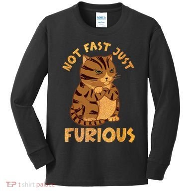 Not Fast Just Furious Funny Cute Grumpy Fat Cat Pet Lovers Kids Long Sleeve Shirt
