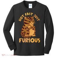 Not Fast Just Furious Funny Cute Grumpy Fat Cat Pet Lovers Kids Long Sleeve Shirt thumb 0