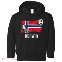 Norway Flag Jersey Norwegian Soccer Team Norwegian Premium Toddler Hoodie thumb 0