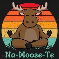 Namoosete Funny Moose And Yoga Pun Workout Women's Hoodie thumb 2