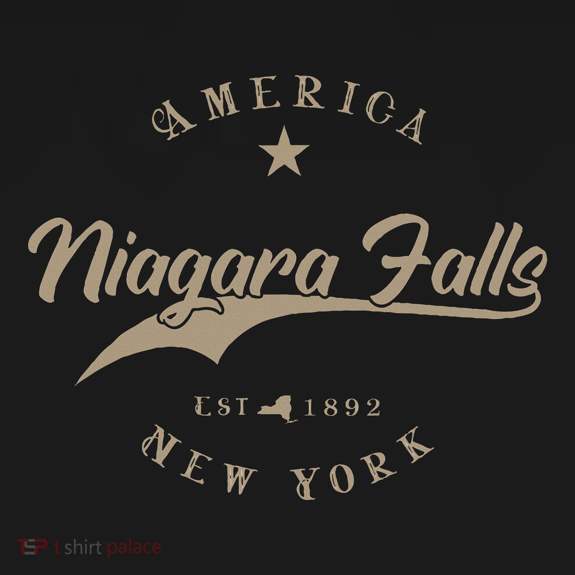 Niagara Falls New York Hoodie