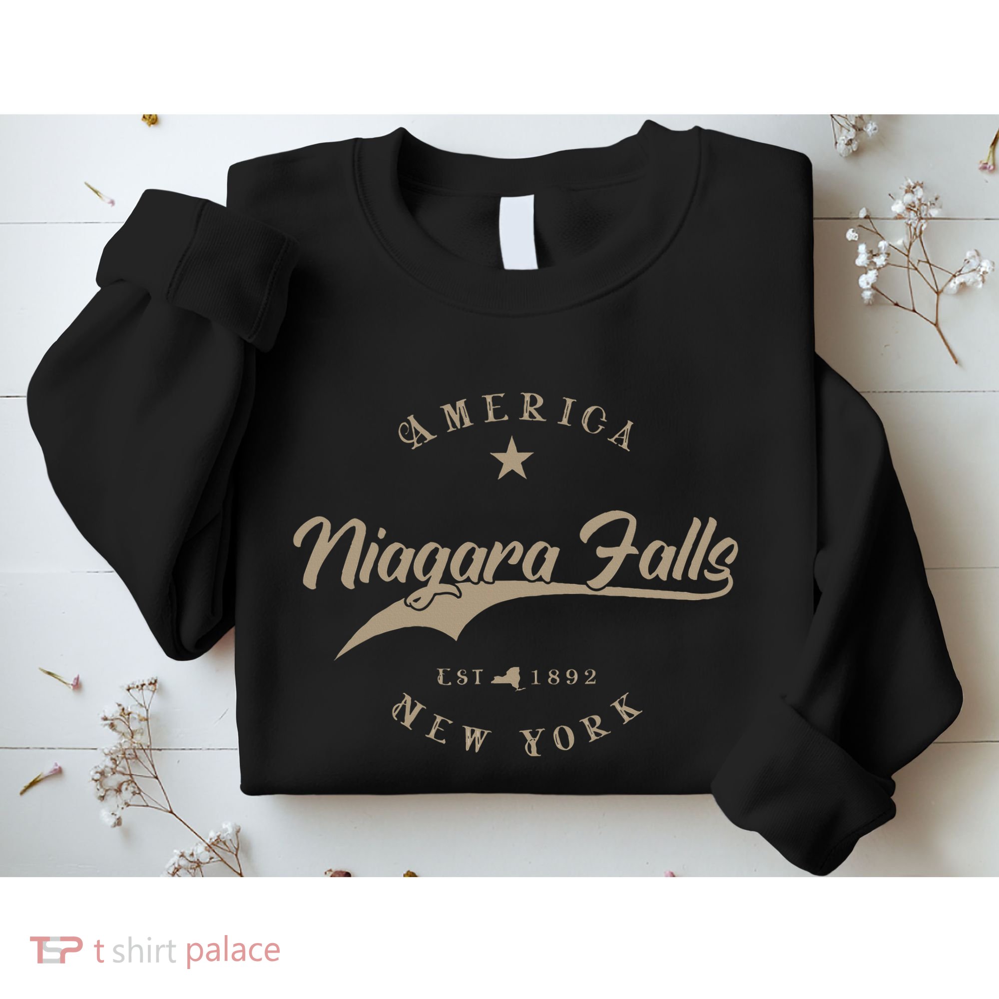 Niagara Falls New York Sweatshirt