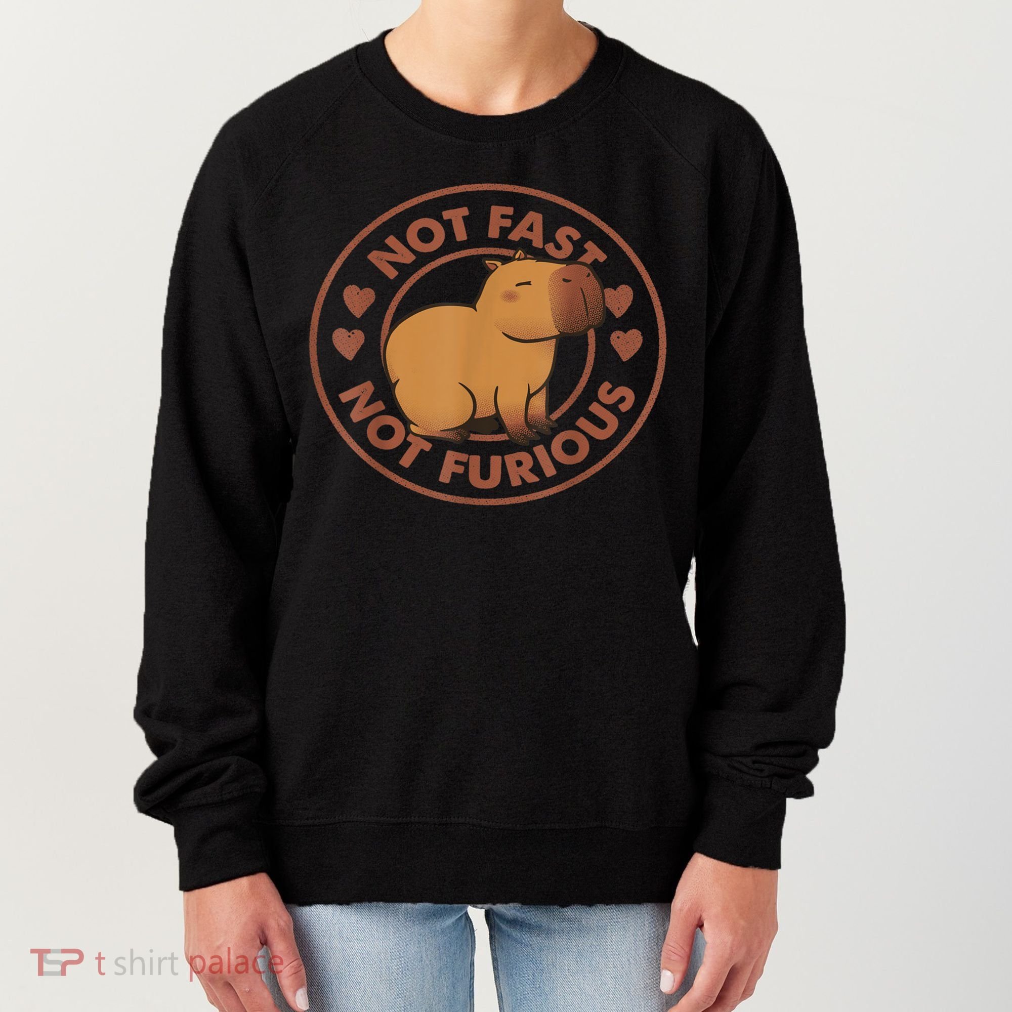 Not Fast Not Furious Capybara Women's Sweatshirt