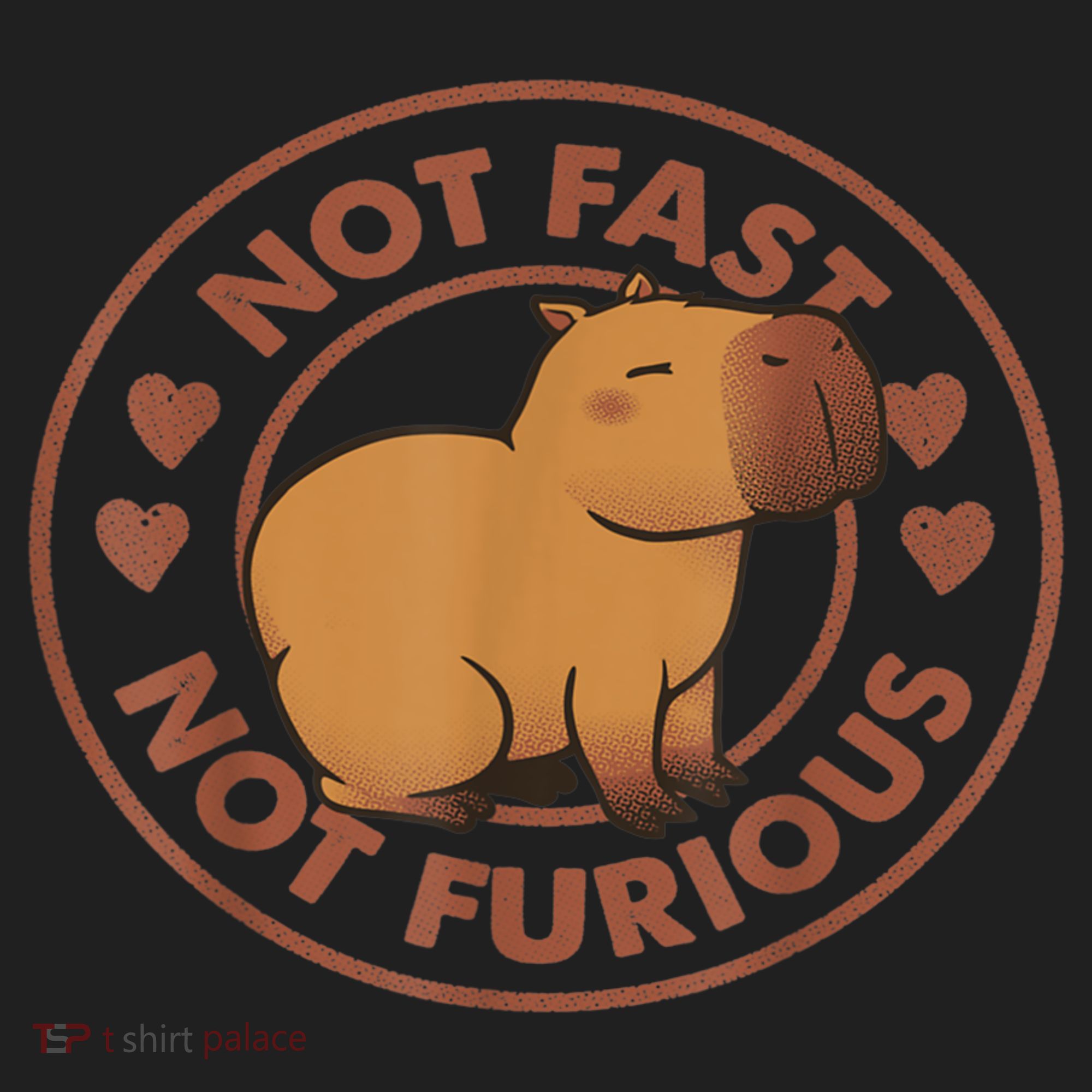 Not Fast Not Furious Capybara Women's Sweatshirt