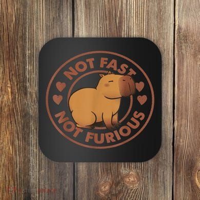 Not Fast Not Furious Capybara Coaster