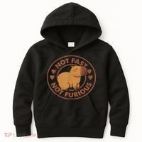 Not Fast Not Furious Capybara Kids Hoodie thumb 0