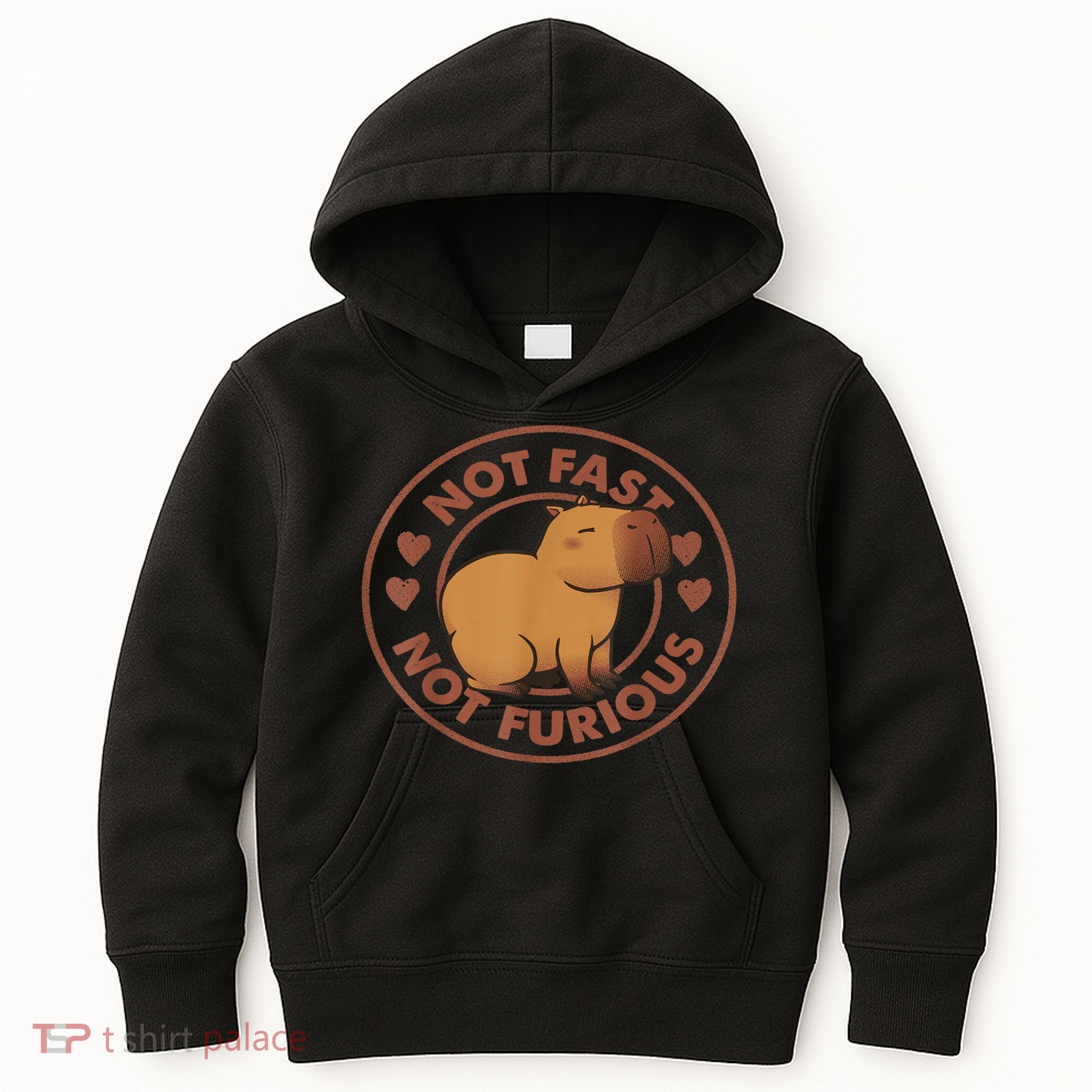 Not Fast Not Furious Capybara Kids Hoodie