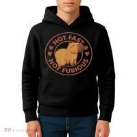 Not Fast Not Furious Capybara Kids Hoodie thumb 4