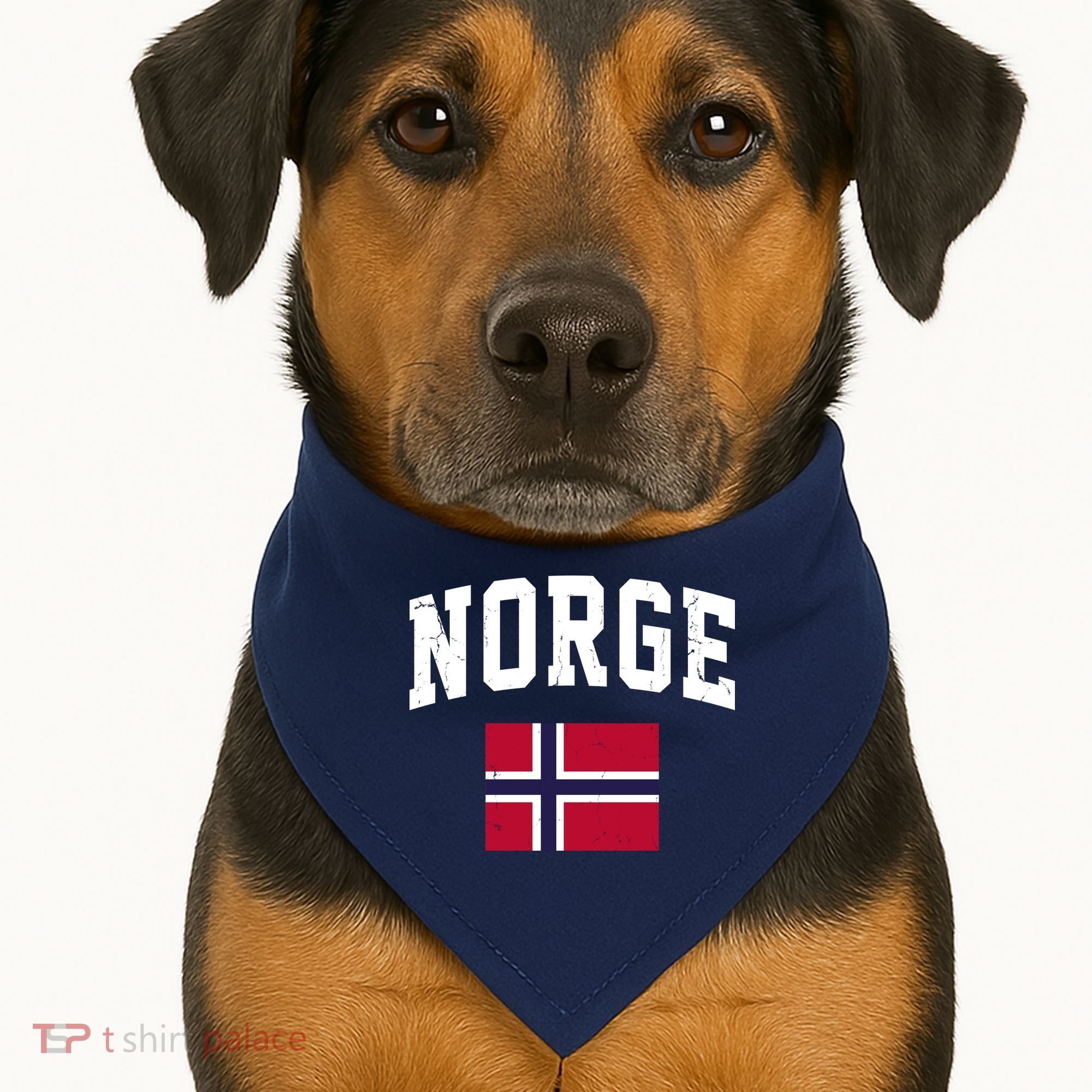 Norge Flag Norway Norwegian Souvenir Gift USA-Made Doggie Bandana