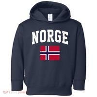 Norge Flag Norway Norwegian Souvenir Gift Toddler Hoodie thumb 0