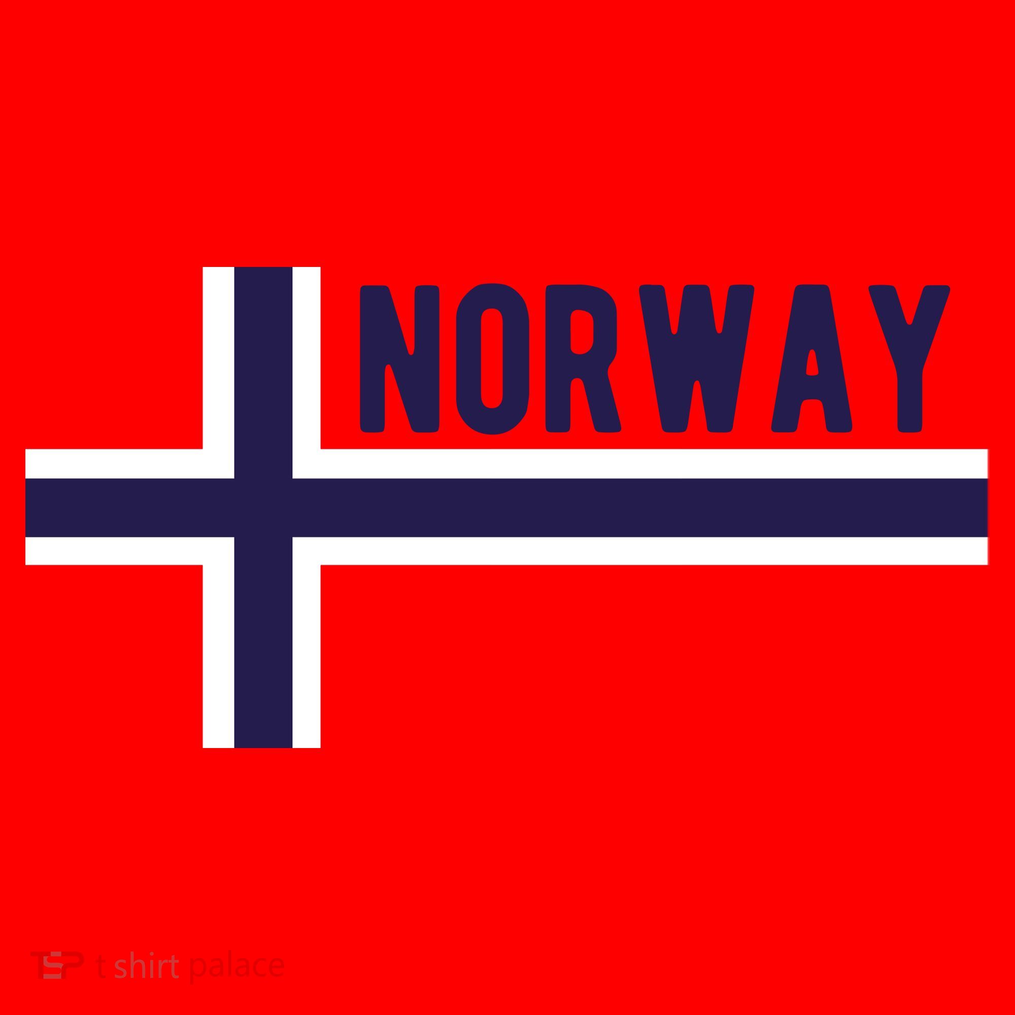 Norway Flag Norwegian Scandinavian Pride Norge Santa Hat
