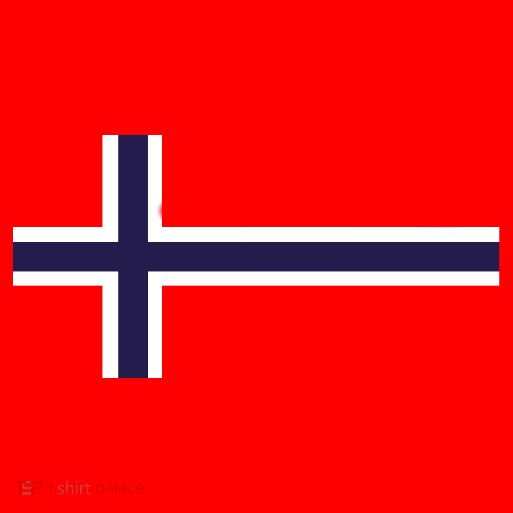 Norway Flag Norwegian Pride Kids Sweatshirt
