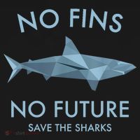 No Fins No Future Protect The Sharks Scuba Shark Safe Sharks TShirt Women's Hoodie thumb 2