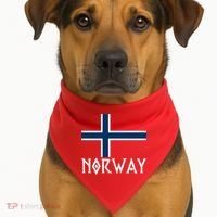 Norway Flag Proud Norwegians Soccer Fan USA-Made Doggie Bandana thumb 1