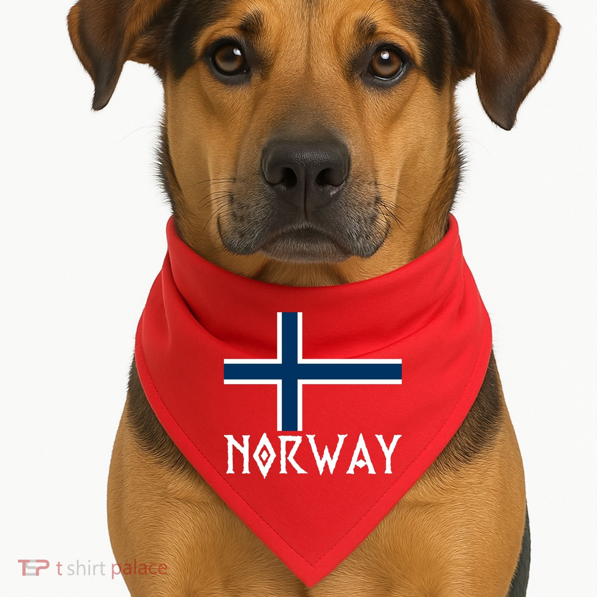 Norway Flag Proud Norwegians Soccer Fan USA-Made Doggie Bandana